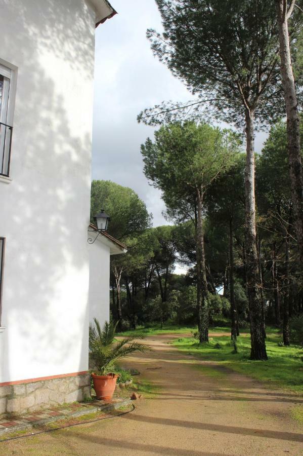 Vina Concepcion Villa Andujar Exterior photo