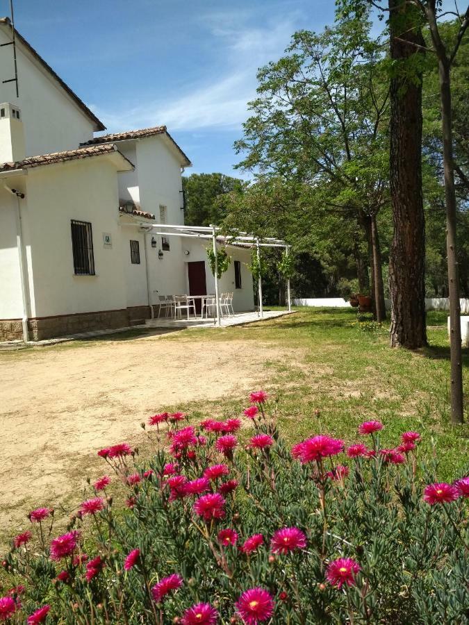 Vina Concepcion Villa Andujar Exterior photo
